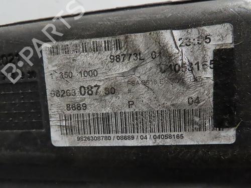 Used Fuel tank CITROËN C3 III (SX) 1.2 THP 110 (SXHNPS, SXHNZT, SXHNZ6) (110 hp) 30164180