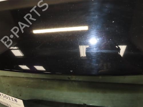 Tailgate VW POLO V (6R1, 6C1) 1.2 | BP25777720C6 