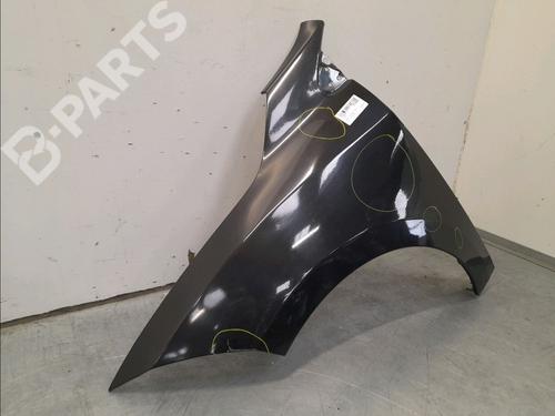 Left front fenders RENAULT MEGANE III Hatchback (BZ0/1_, B3_) 1.9 dCi (BZ0N, BZ0J) | BP11976282C41 