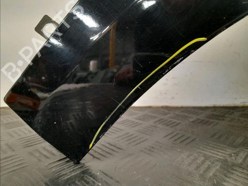 Right front fenders RENAULT MEGANE III Hatchback (BZ0/1_, B3_) 1.6 dCi (BZ00, BZ12, BZ13) | BP29294000C42 