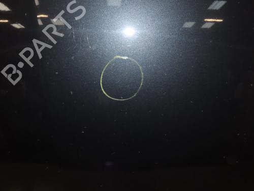 Hood RENAULT MEGANE III Coupe (DZ0/1_) 1.6 16V (DZ0U, DZ1B, DZ1H) | BP29985807C1