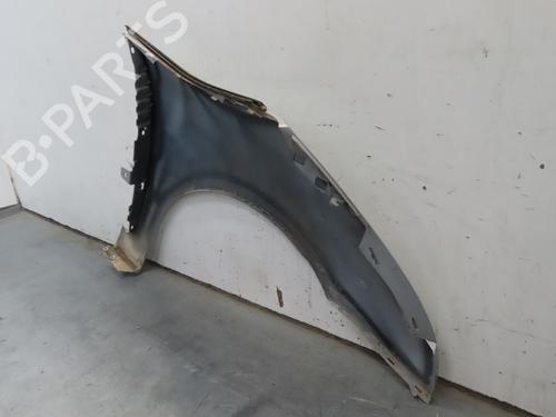 Left front fenders CITROËN C4 Picasso I MPV (UD_) 1.6 HDi | BP18896207C41 