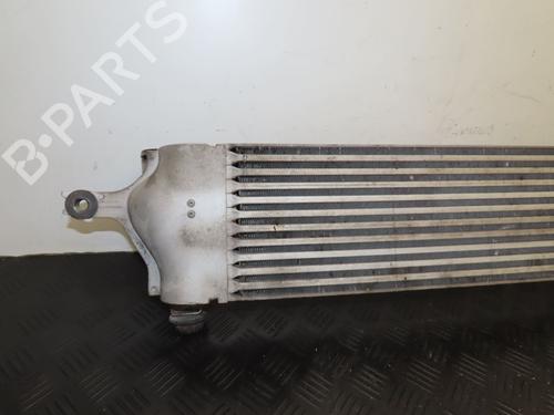 Annen NISSAN QASHQAI I (J10, NJ10) 1.5 dCi | BP28801260O1