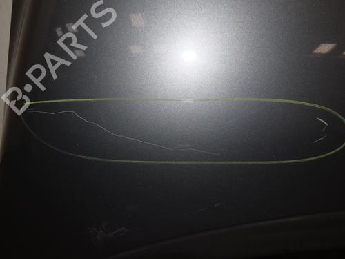 Hood VW GOLF PLUS V (5M1, 521) 1.9 TDI | BP29441472C1 