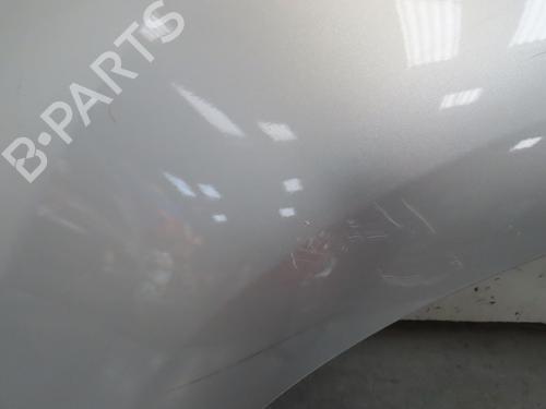 Left front fenders CITROËN C4 Picasso I MPV (UD_) 1.6 HDi | BP18896207C41 