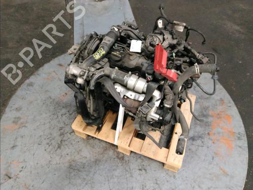 Engine FORD FIESTA VI (CB1, CCN) 1.6 TDCi | BP15813098M1 
