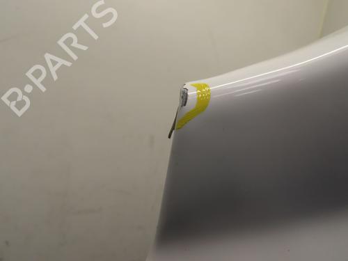 Left front fenders PEUGEOT 207 CC (WD_) 1.6 HDi | BP29759561C41 