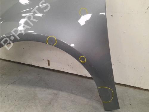 Left front fenders VW TOURAN (1T1, 1T2) 1.9 TDI | BP15770759C41 