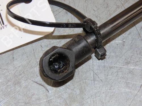 Hood lift support RENAULT SCÉNIC IV (J9_) 1.2 TCe 130 | BP29294005C139 