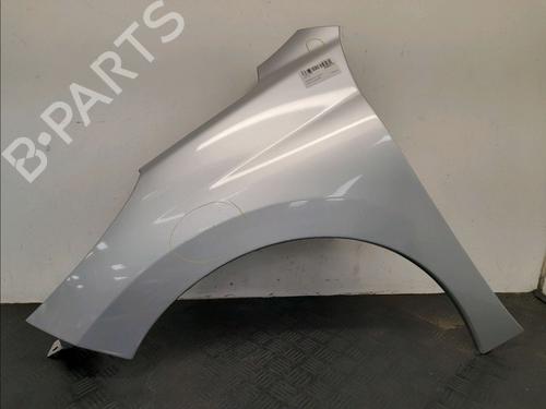 Left front fenders PEUGEOT 207 (WA_, WC_) 1.6 HDi | BP28032885C41 