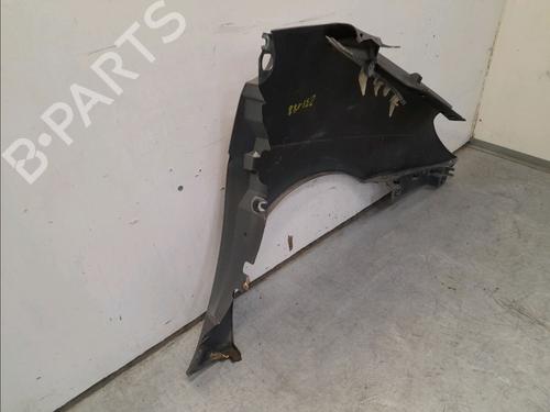 Left front fenders RENAULT SCÉNIC I MPV (JA0/1_, FA0_) 2.0 16V (JA1B, JA1D, JA0C) | BP16015258C41 