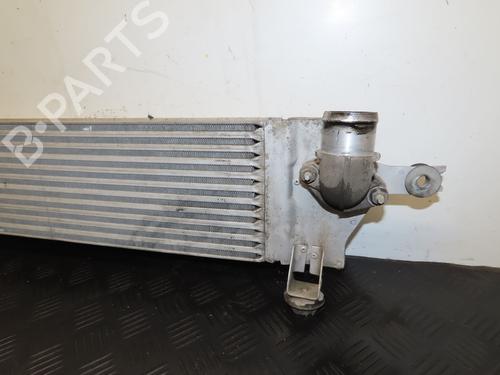 Annen NISSAN QASHQAI I (J10, NJ10) 1.5 dCi | BP28801260O1