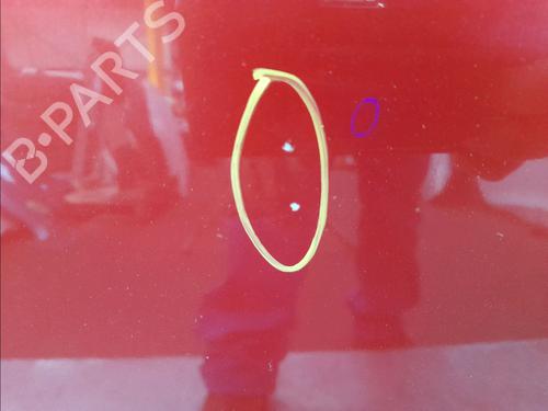 Hood CITROËN XSARA PICASSO (N68) 2.0 HDi | BP24344067C1 
