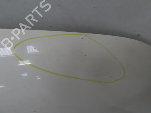 Hood VW TRANSPORTER T5 Van (7HA, 7HH, 7EA, 7EH) 2.5 TDI | BP30630700C1 