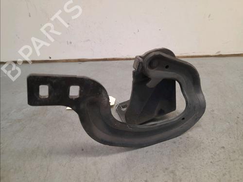 Hinge/Door check strap PEUGEOT 3008 I MPV (0U_) 1.6 HDi | BP14857734C146 