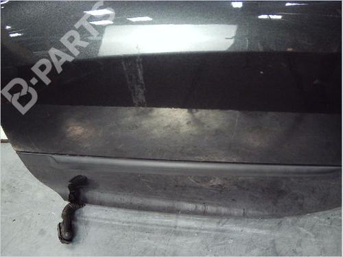 Left rear door RENAULT CLIO III (BR0/1, CR0/1) 1.5 dCi (BR17, CR17) | BP10225445C4 