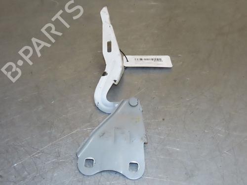 Used Hinge/Door check strap RENAULT TWINGO II (CN0_) 1.6 RS (CN0N, CN0R, CN0S) (133 hp) 16892617