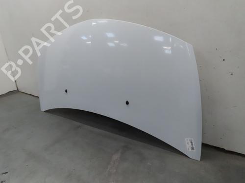Hood RENAULT CLIO III (BR0/1, CR0/1) 1.5 dCi (C/BR0G, C/BR1G) | BP22848118C1 