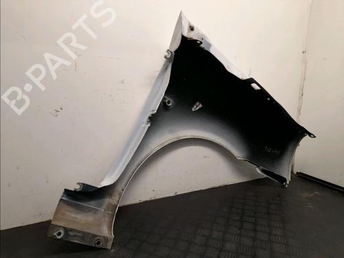 Left front fenders RENAULT CLIO II (BB_, CB_) 1.2 (BB0A, BB0F, BB10, BB1K, BB28, BB2D, BB2H, CB0A,... | BP22381738C41 