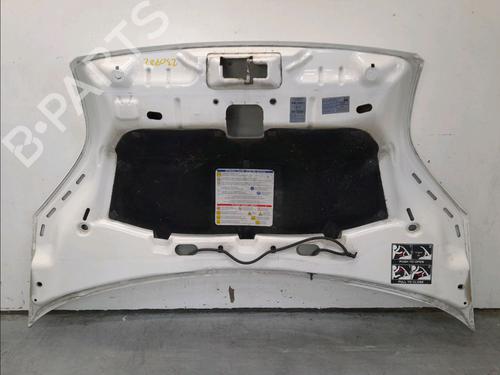 Hood CITROËN NEMO Box Body/MPV (AA_) 1.4 HDi | BP13398973C1