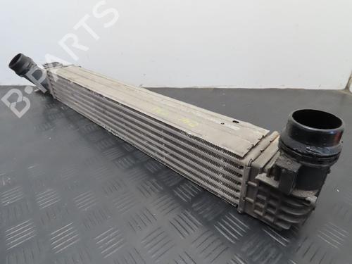 Used Other RENAULT SCÉNIC III (JZ0/1_) 1.5 dCi (110 hp) 19337636