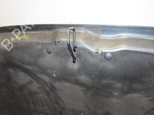 Hood PEUGEOT 308 I (4A_, 4C_) 1.6 HDi | BP10063451C1