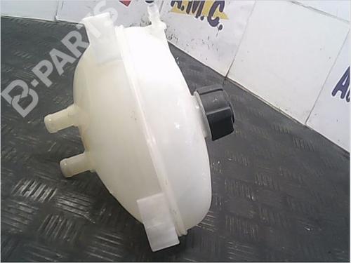 Expansion tank RENAULT TWINGO III (BCM_, BCA_) 0.9 TCe 90 (BCM9, BCM2) | BP9405306C120 