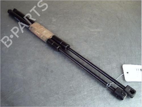 Tailgate lift support RENAULT SCÉNIC II (JM0/1_) 1.9 dCi (JM0G, JM12, JM1G, JM2C) | BP14857634C138 
