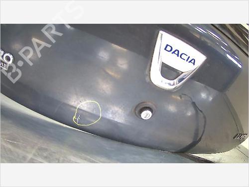 Tailgate DACIA SANDERO 1.4 (BS0C, BS0A, BS0G, BS1F, BS0E) | BP9406705C6