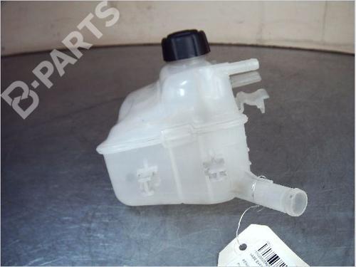 Expansion tank RENAULT SCÉNIC III (JZ0/1_) 1.6 dCi (JZ00, JZ12) | BP11131154C120 