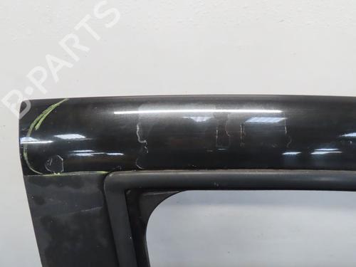 Used Right front door RENAULT CLIO III (BR0/1, CR0/1) 1.5 dCi (BR17, CR17) (86 hp) 29645013