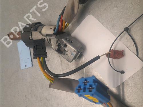 Ignition barrel PEUGEOT PARTNER MPV (5_, G_) 2.0 HDI | BP29985769M48 