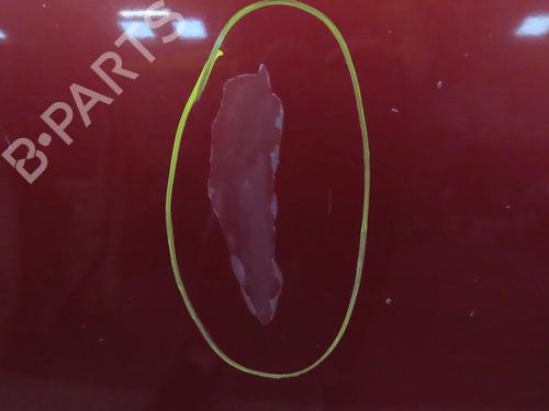 Hood PEUGEOT PARTNER MPV (5_, G_) 1.6 HDi 90 | BP29016788C1 
