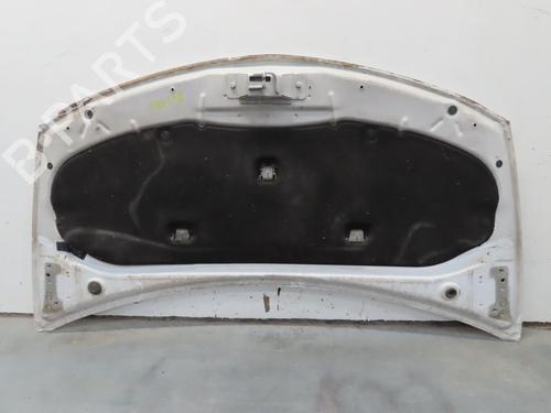 Hood RENAULT CLIO III (BR0/1, CR0/1) 1.5 dCi (C/BR0G, C/BR1G) | BP22848118C1 