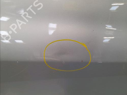 Right front door RENAULT CLIO III (BR0/1, CR0/1) 1.4 16V | BP15273344C3 
