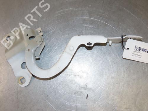 Hinge/Door check strap RENAULT ZOE (BFM_) ZOE | BP28082516C146 