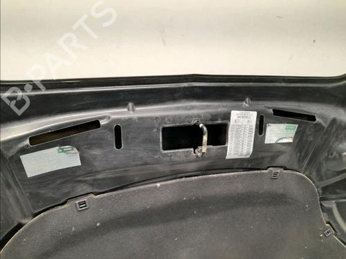 Hood LANCIA DELTA III (844_) 1.6 D Multijet (844.AXC11, 844.AXC1A) | BP15770761C1 
