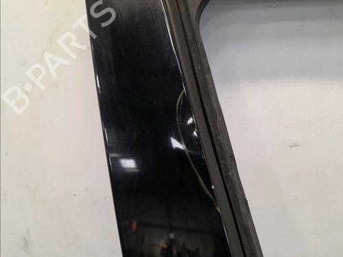 Right front door RENAULT MEGANE III Hatchback (BZ0/1_, B3_) 1.9 dCi (BZ0N, BZ0J) | BP13030540C3 