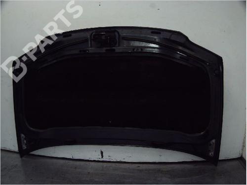Hood VW TOURAN (1T1, 1T2) 1.9 TDI | BP10419593C1 