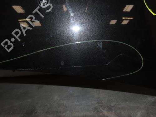 Hood RENAULT CLIO III (BR0/1, CR0/1) 1.5 dCi (BR17, CR17) | BP24831605C1 