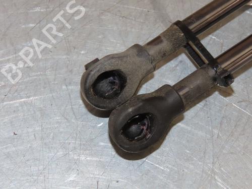 Used Tailgate lift support RENAULT CLIO V (B7_) 1.0 TCe 100 (B7MT) (101 hp) 26511666