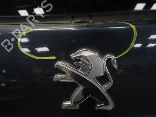 Tailgate PEUGEOT 308 SW I (4E_, 4H_) 1.6 HDi | BP27245415C6 