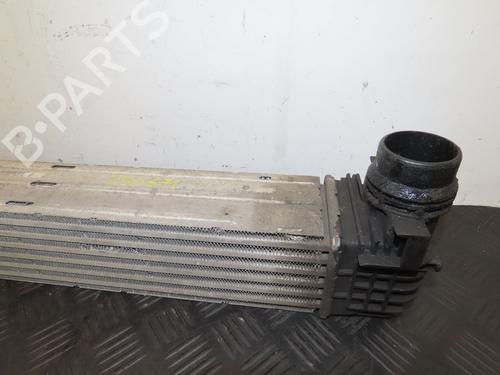 Used Other RENAULT GRAND SCÉNIC III (JZ0/1_) 1.5 dCi (JZ0B, JZ07) (106 hp) 28966713