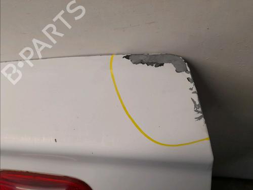 Left tailgate RENAULT KANGOO Express (FC0/1_)  | BP22848245C76 