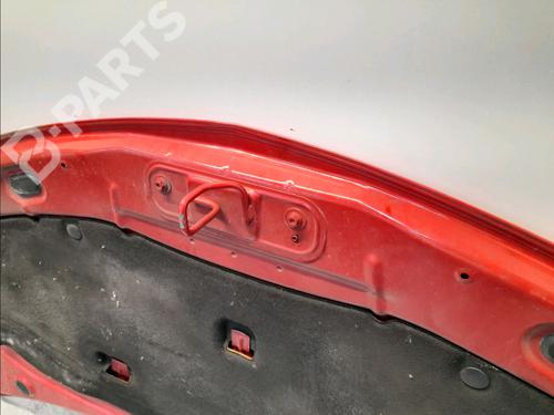Hood RENAULT CLIO III (BR0/1, CR0/1) 1.5 dCi (BR0H, CR0H, CR1S, BR1S) | BP11219205C1 