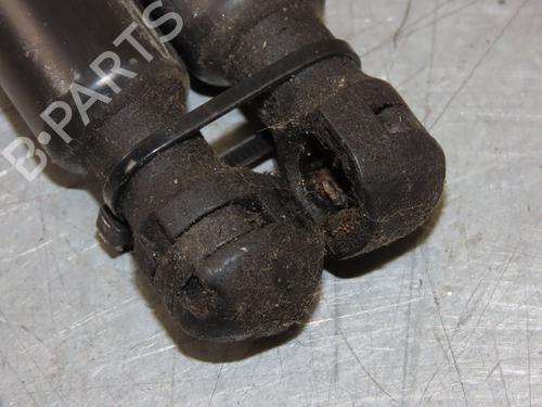 Used Hood lift support RENAULT CAPTUR I (J5_, H5_) 1.5 dCi 90 (J5N4, J5M5, J5MW, J5M6, J5AL, J5AJ) (90 hp) 29294009