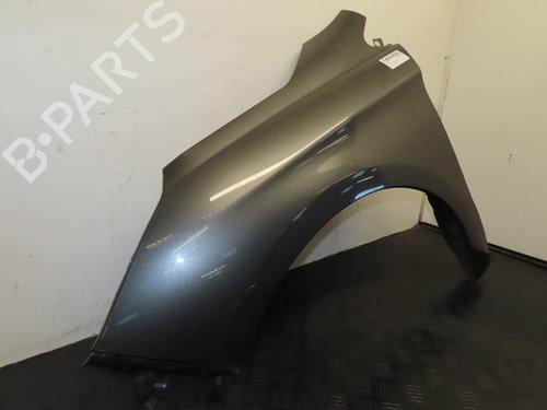 Left front fenders CITROËN C4 II (NC_) 1.6 HDi 90 | BP30955719C41 