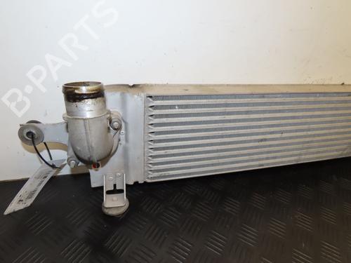 Annen NISSAN QASHQAI I (J10, NJ10) 1.5 dCi | BP28801260O1