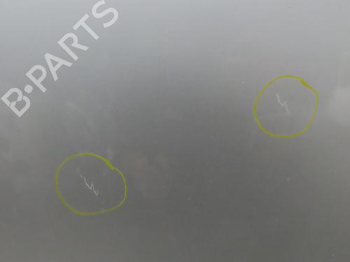 Left rear door RENAULT SCÉNIC III (JZ0/1_) 1.5 dCi | BP19790901C4 