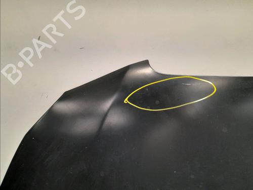 Hood LANCIA DELTA III (844_) 1.6 D Multijet (844.AXC11, 844.AXC1A) | BP15770761C1 